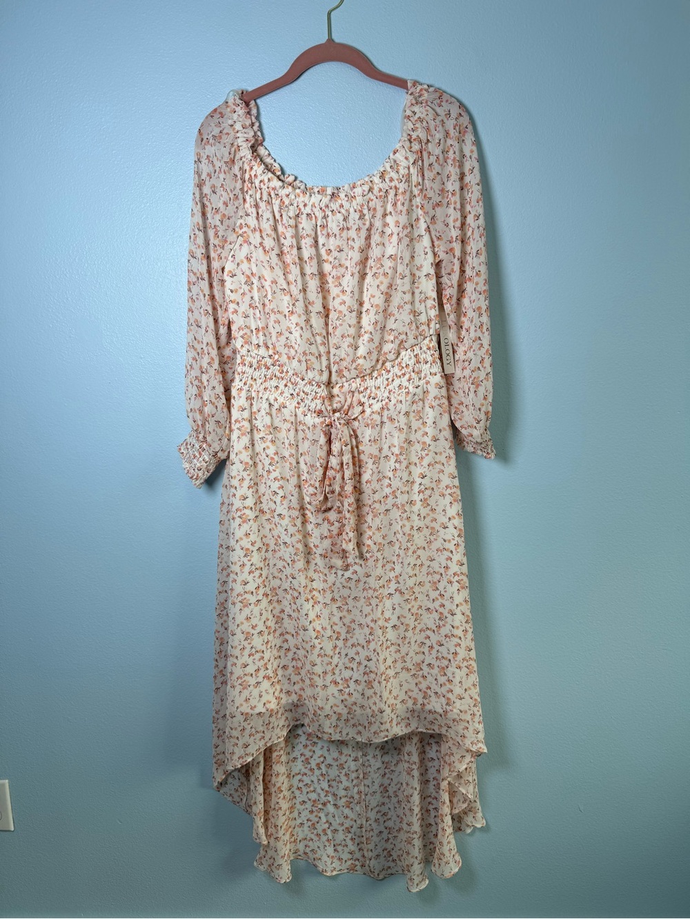 Luxology Cream Dress with Pink Floral Print High-Low Hem